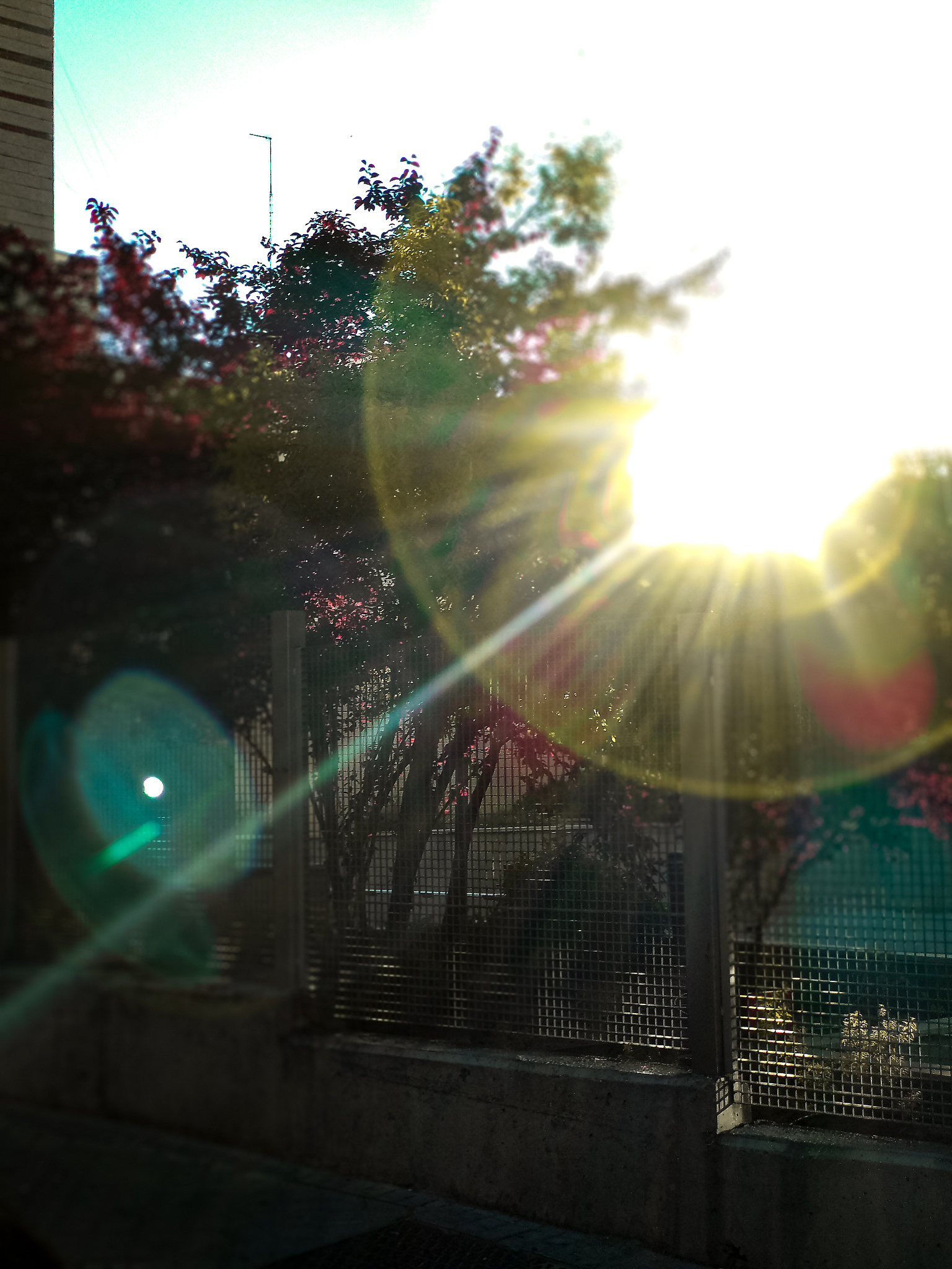 法兰克福一扫阴霾,夺冠在望的简单介绍 法兰克福一扫阴霾,夺冠在望的简单介绍