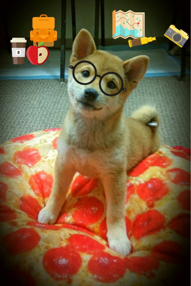 绝境淬真金，卡拉斯科抢七夜封神之战