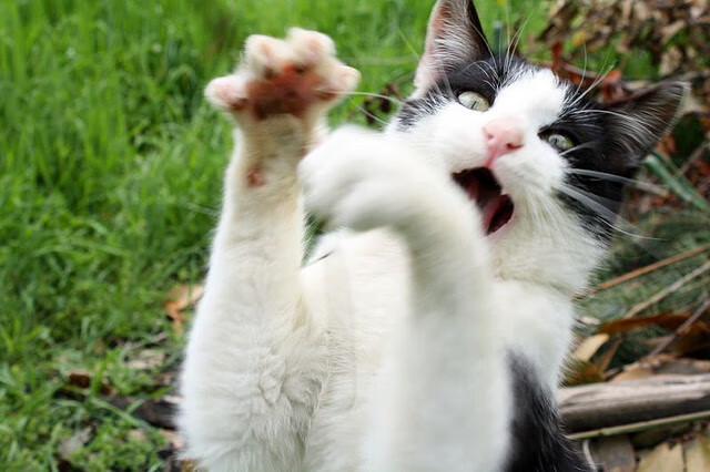 数据之外的碾压，恩比德如何用辽宁式团队篮球给灰熊上了一课