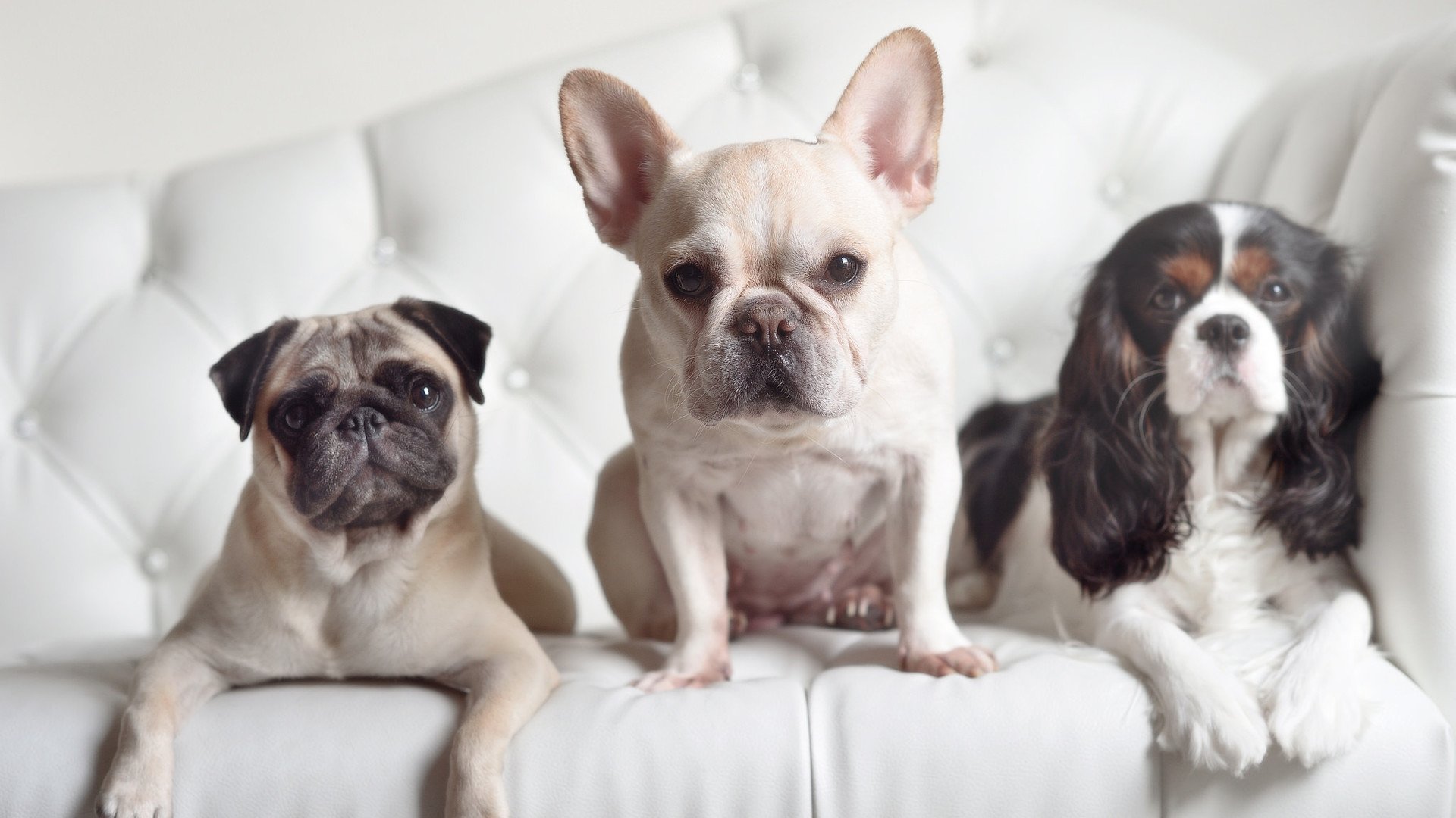 双线焦点，西甲国家德比火星撞地球，山西队决胜步行者夺冠