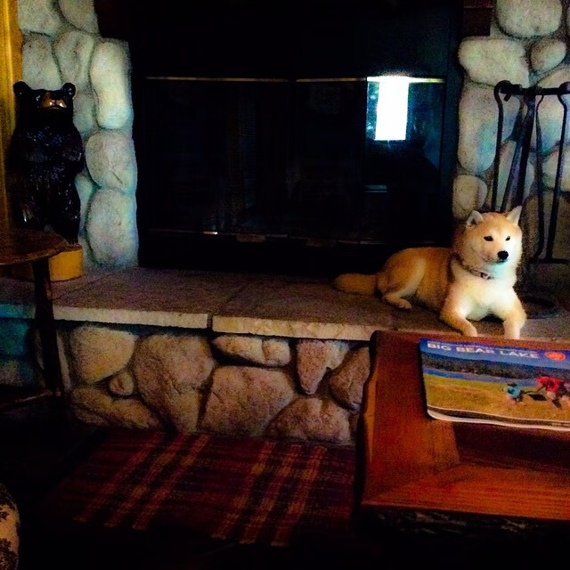 战术铁壁与关键先生，活塞战术压制下的詹姆斯制胜之道