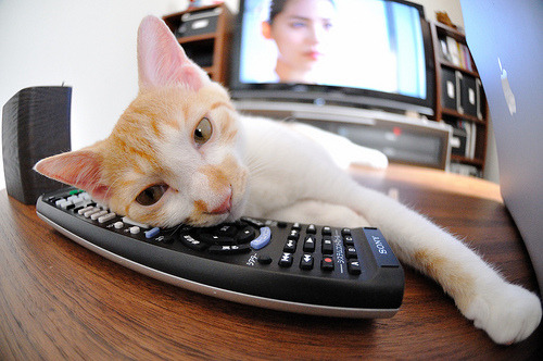 乔治主宰年度焦点战，火箭单节爆发击溃吉林队