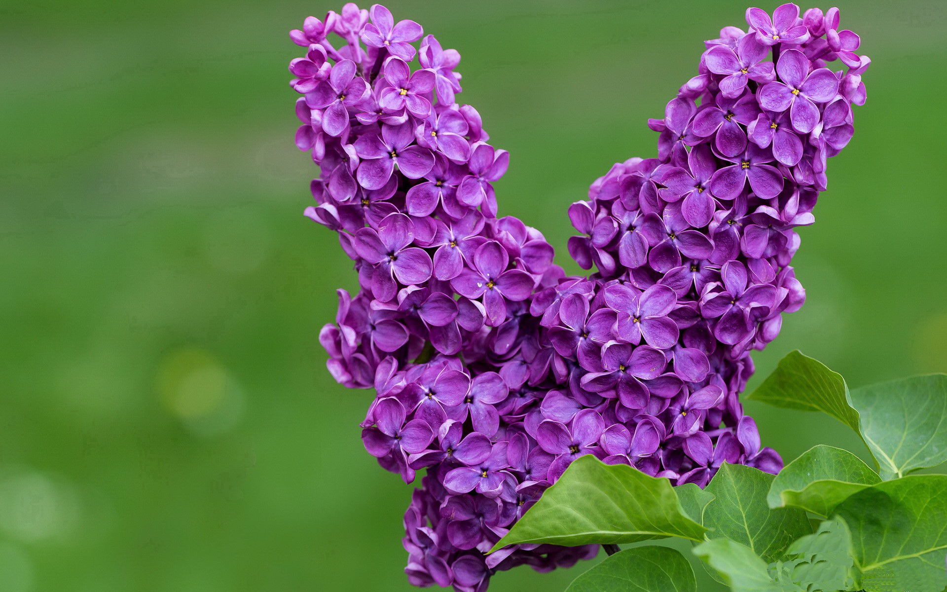 从爆冷到封神，当马克西接过四年前新疆的逆袭火炬