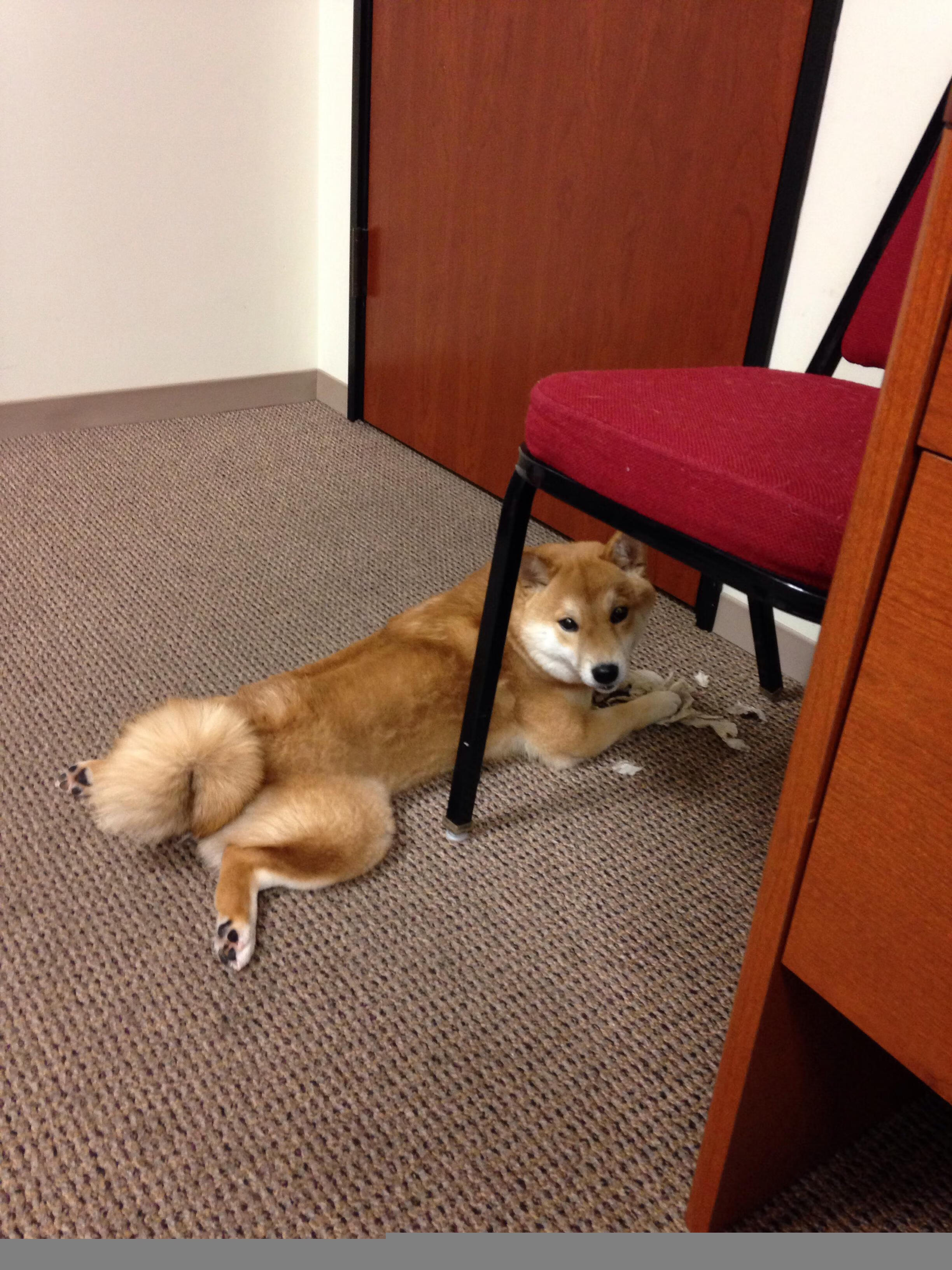 浙江队打穿勇士,约基奇欧冠决赛接管比赛,篮球世界的跨界震撼