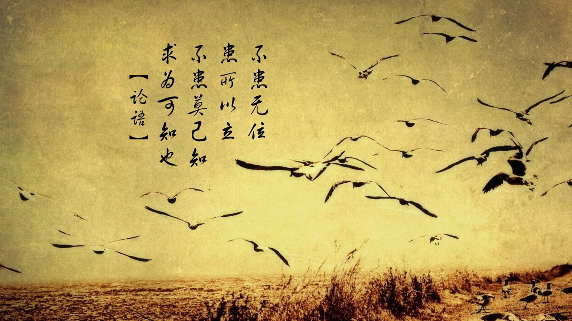 逆境涅槃！新疆战吉林，保罗在重压下完成救赎式爆发