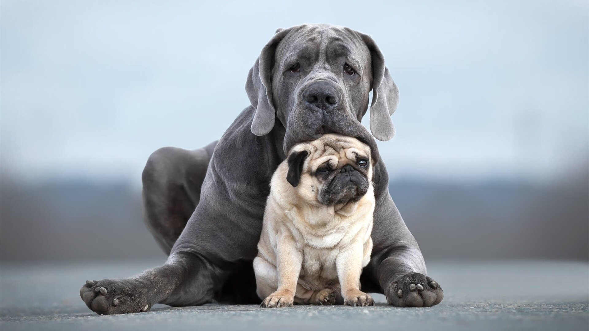 不射门之王，格列兹曼用无形杀伤重定义意甲焦点夜