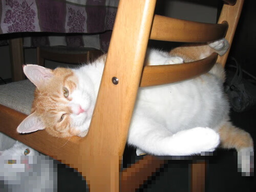 欧冠决赛之夜，拉文的杀伤力主宰赛场